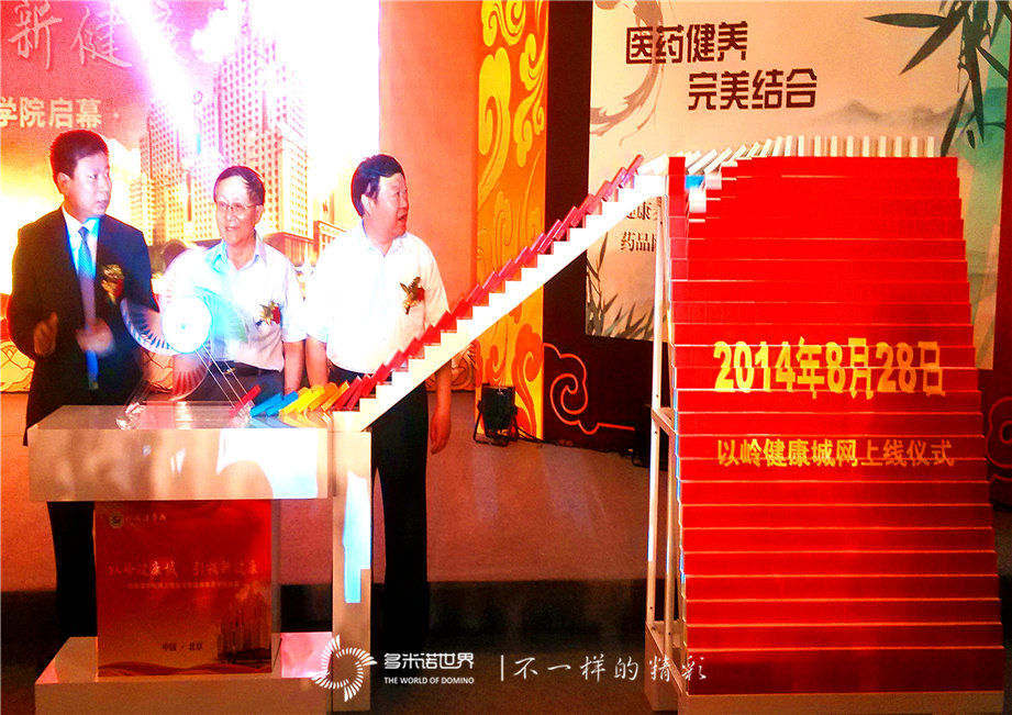 多米諾助以嶺健康網上線成功